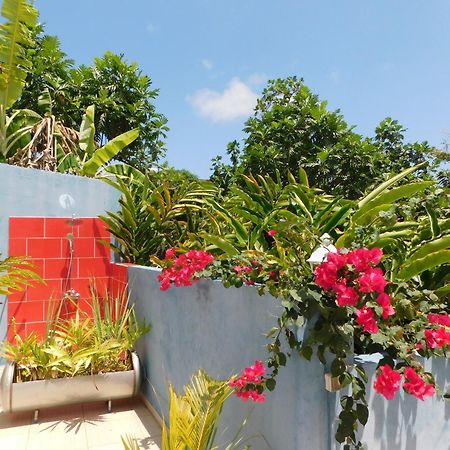 Les Hauts De Sainte-Anne "2 Spas Privatifs" المظهر الخارجي الصورة